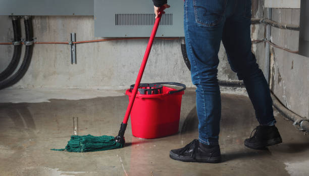 Best Sewage cleanup and water damage restoration  in Sharpsburg, PA