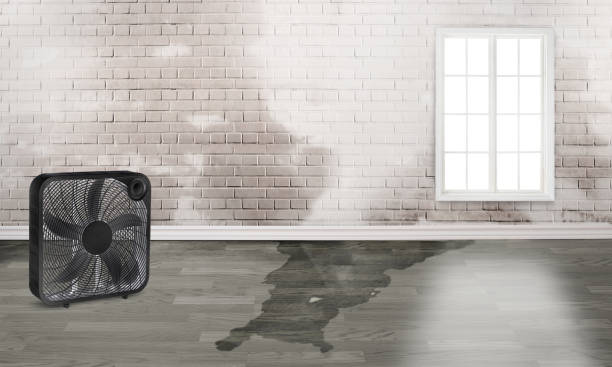 Best Water damage restoration near me  in Sharpsburg, PA