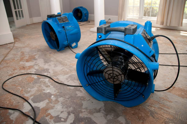 Best Mold removal after water damage  in Sharpsburg, PA