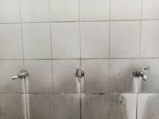Best Water damage cleanup near me  in Sharpsburg, PA