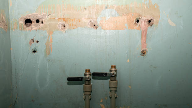 Best Flood damage cleanup  in Sharpsburg, PA